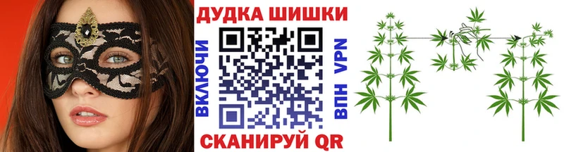 мега tor  купить  цена  Заречный  Шишки марихуана конопля 